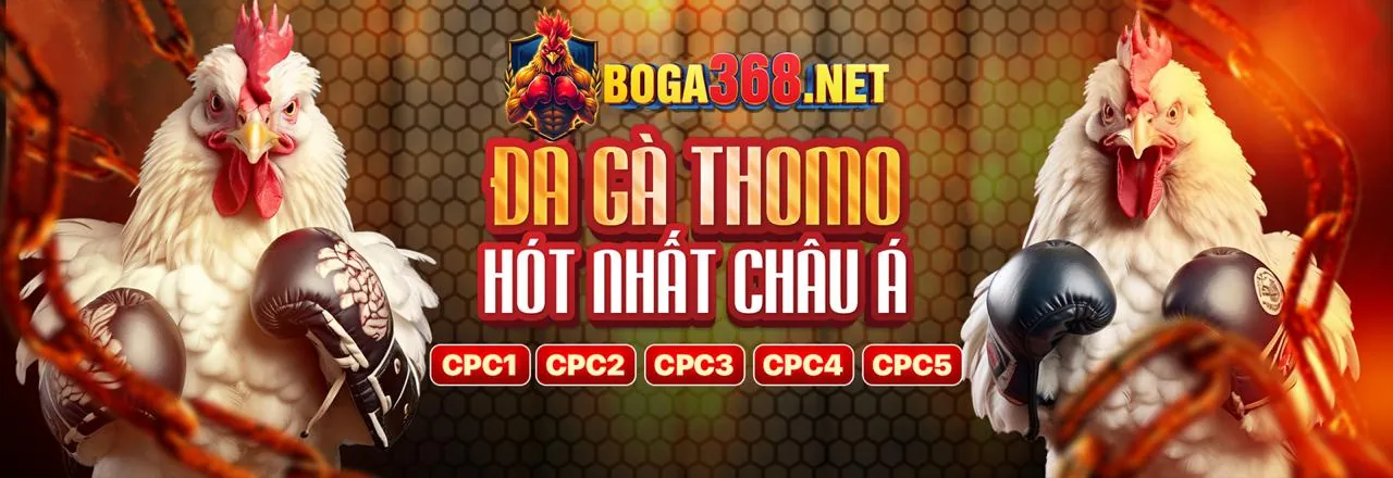 Giới thiệu về Waybet đăng ký - Nền tảng cá cược uy tín